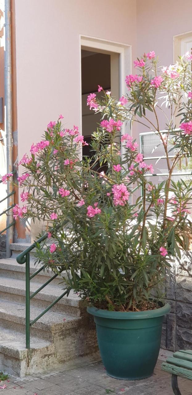Bellesuite تيرانا المظهر الخارجي الصورة
